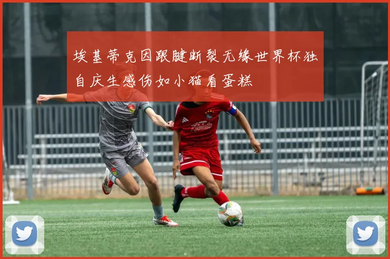 埃基蒂克因跟腱断裂无缘世界杯独自庆生感伤如小猫看蛋糕